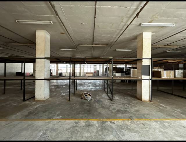 1,000M² WAREHOUSE TO LET IN WYNBERG